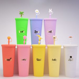 Double Wall Plastic Straw Tumbler with StickerHLT-2096