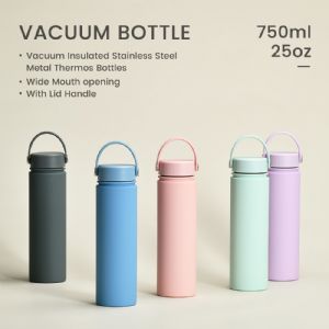750ml DW Vacuum Bottle with Handle LidHVB-064-25 Vacuum Bottle